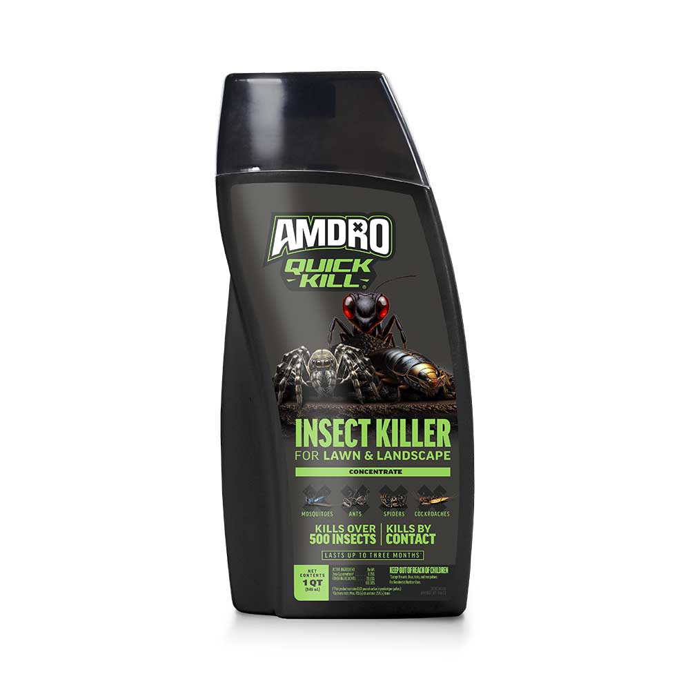 Detail King Bug Off Cleaner (32 Ounces)