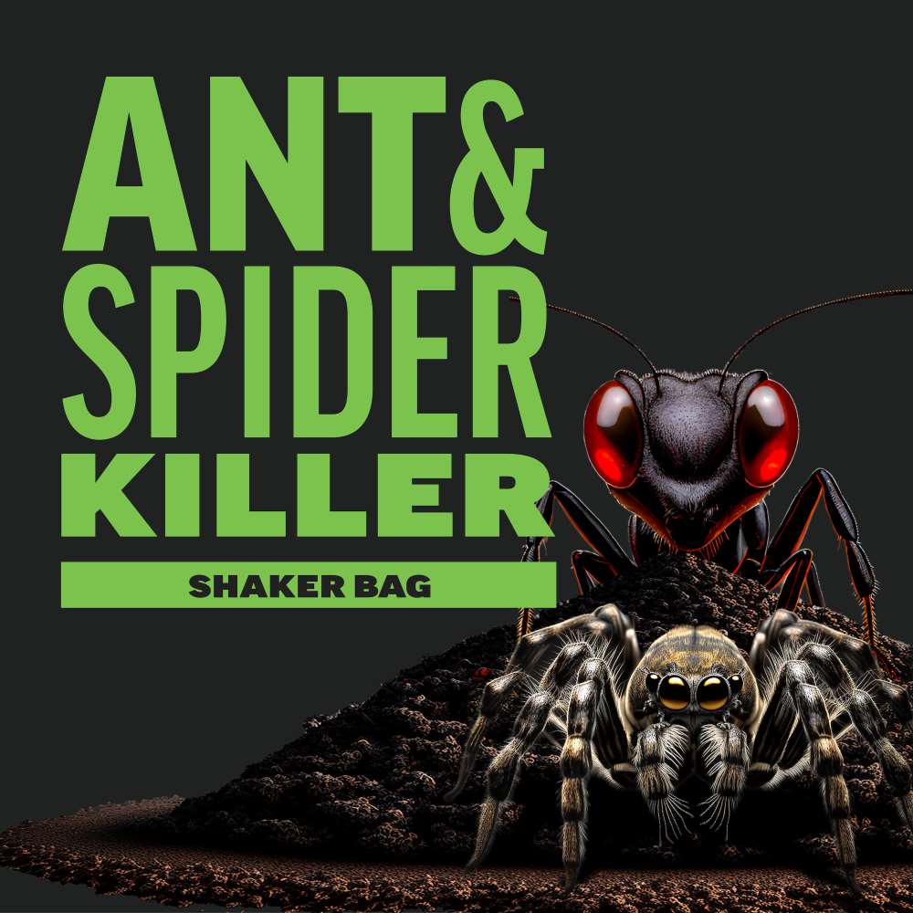 amdro-quick-kill-ant-spider-killer-image-alt-1