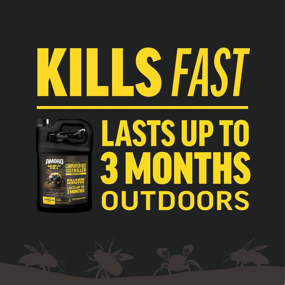 amdro-quick-kill-carpenter-bee-ant-termite-killer-rtu-gal-alt-8