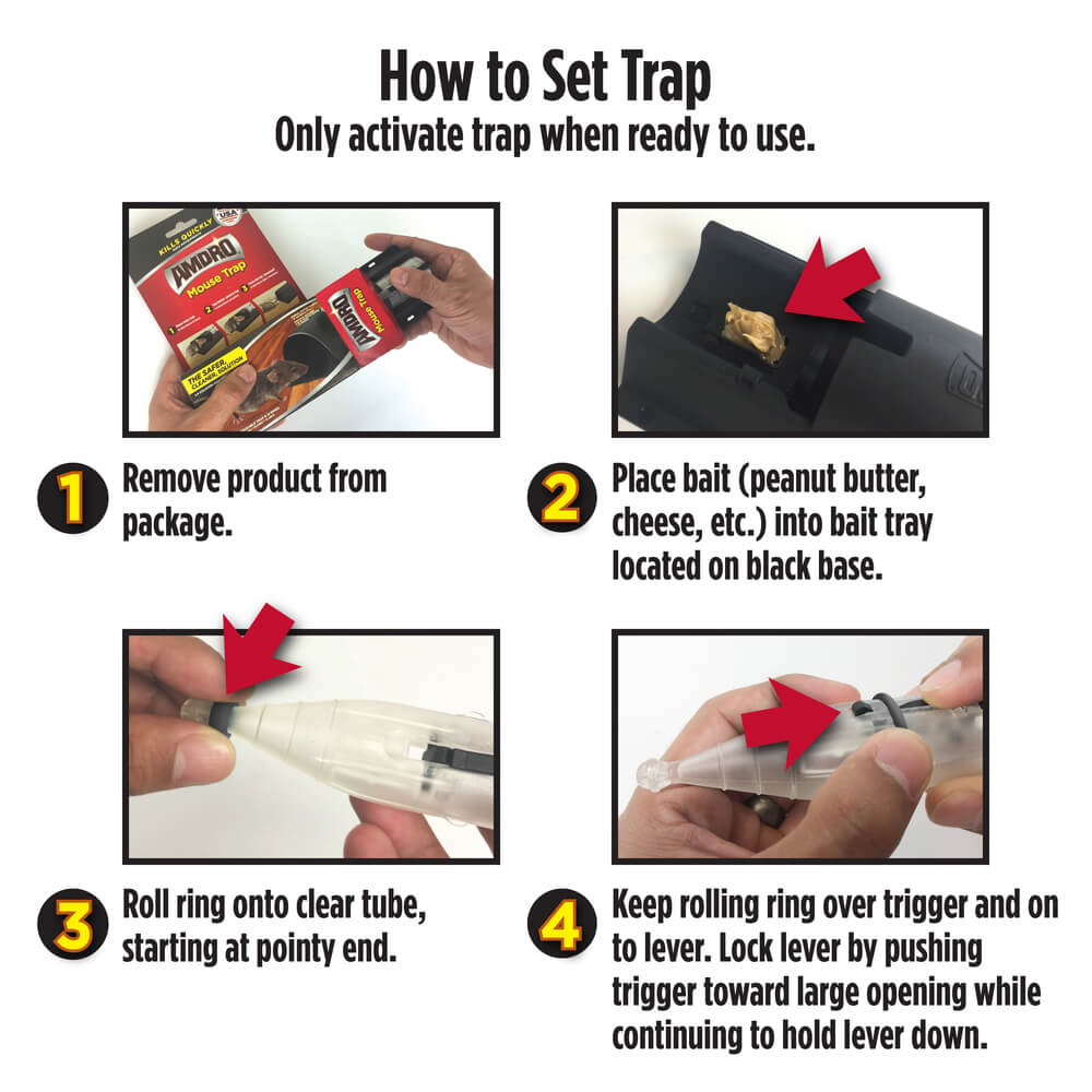 Best Mouse Trap in 2020 (Top 7 Traps & Bait To Get Rid Of Mice