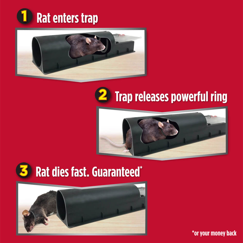Amdro Mouse Trap